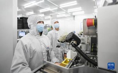 靠譜服務、技術推銷、標準開路——一家光通信企業的“出海秘籍”